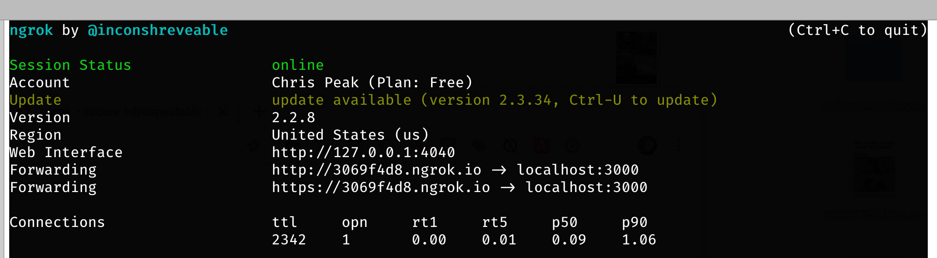 An example ngrok terminal process