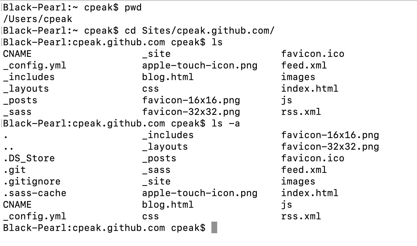 Workin in the terminal using the example commands